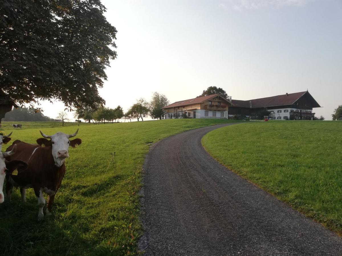 Apartamento Sonnenhub Irschenberg Exterior foto